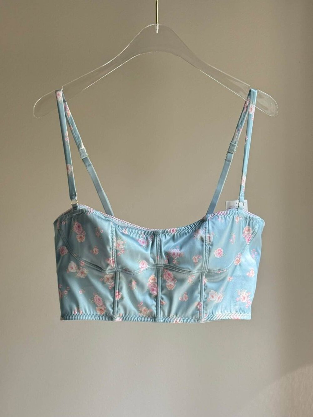 Lyrebird by Anthropologie silky underwire longline corset/bustier. NWT. M and L